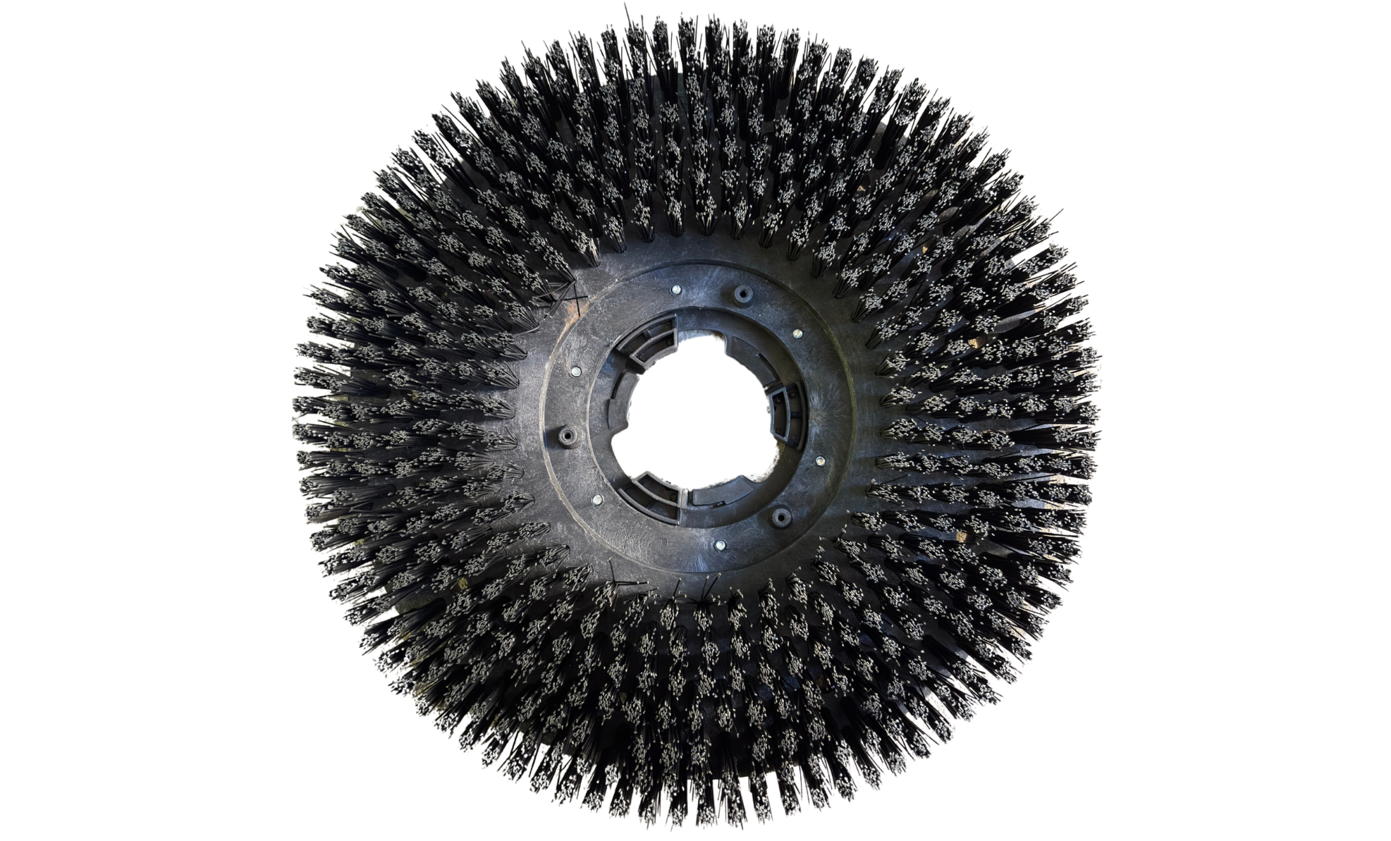 SZCZOTKA MIĘKKA SZOROWAREK LESP JH 175